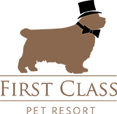 First Class Pet Resort